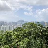 A memorable hike along Yuen Tsuen Ancient Trail 