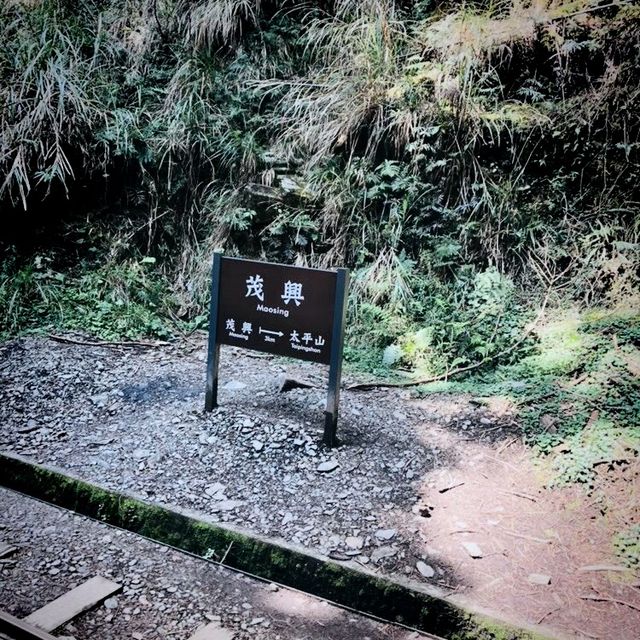 太平山兩天一夜之旅