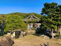 京都　SAKURA 桜めぐり❗️高台寺の桜に感動❗️