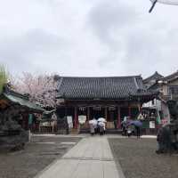 【東京おでかけ】下町文化がすてきな街、浅草の観光と言えば！浅草寺〜浅草神社