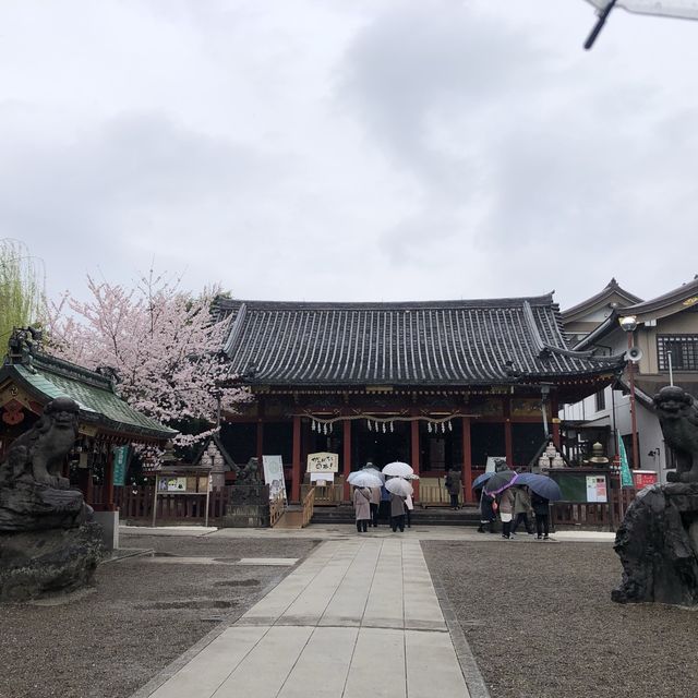 【東京おでかけ】下町文化がすてきな街、浅草の観光と言えば！浅草寺〜浅草神社
