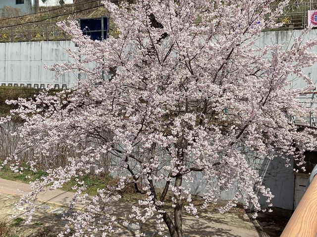 데이트코스로 딱 ❤️ 수원여행