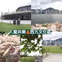 人寵共樂⛺️西九龍文化區