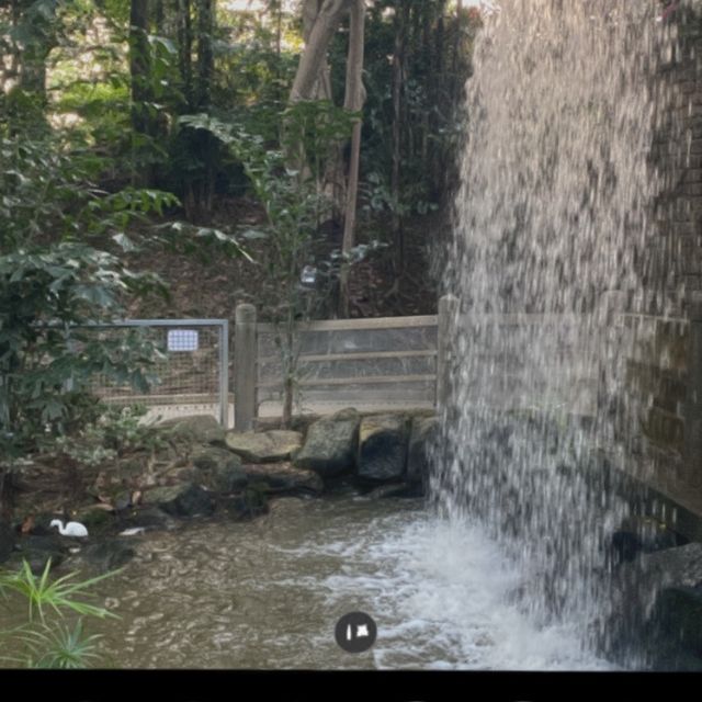 每個地方都可以打卡嘅公園