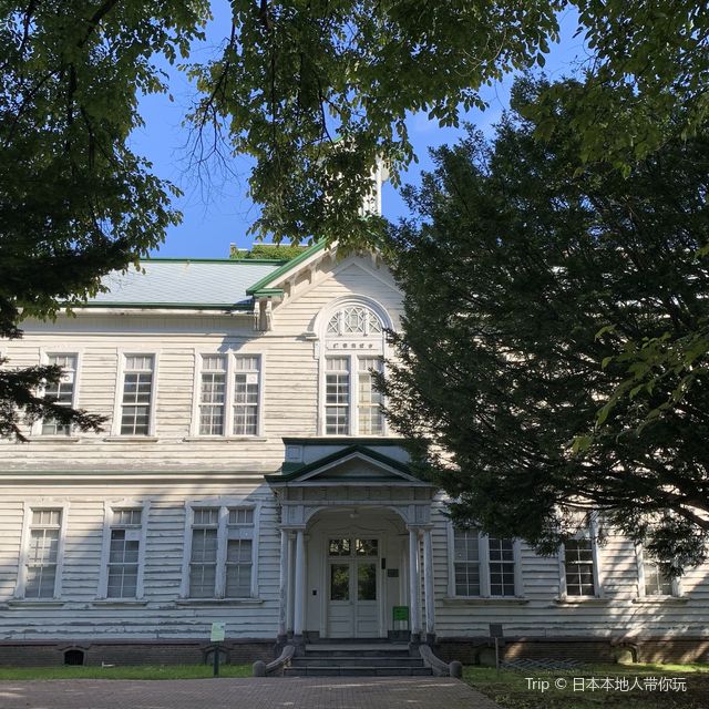 秋空オススメお散歩コース🚶北海道大学