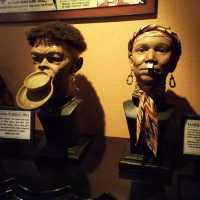 Surfers Paradise Ripleys Believe Or Not