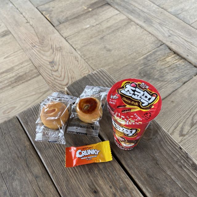 대전 여행 보문산