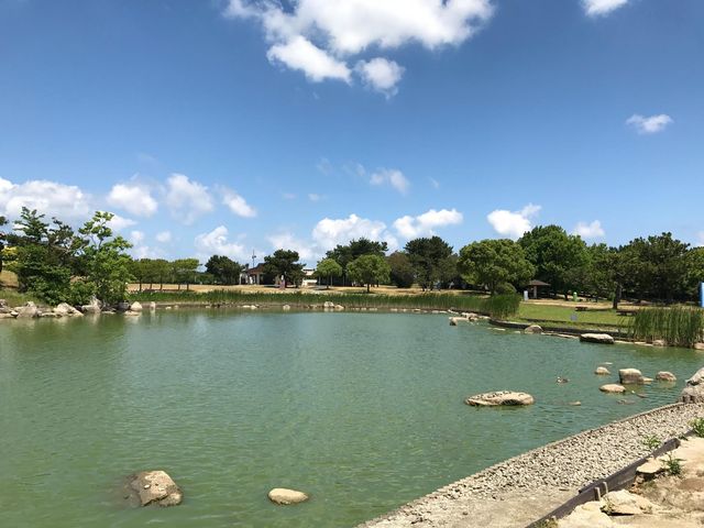 日本海之中道海濱公園花花世界