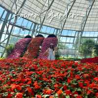 ชมสวยดอกไม้สุดฟินในโดมเย็นฉ่ำที่ Vinwonders 
