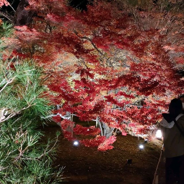 嵐山宝厳院ライトアップ