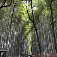 嵐山 竹林之道