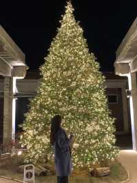 韓国/京畿道　大きなクリスマスツリーが素敵なカフェベーカリー🎄✨