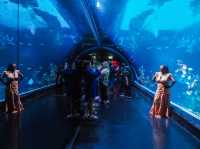 Aquaria Phuket พิพิธภัณฑ์สัตว์น้ำที่ใหญ่ที่สุด