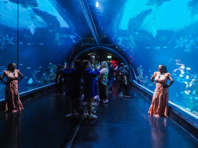 Aquaria Phuket พิพิธภัณฑ์สัตว์น้ำที่ใหญ่ที่สุด