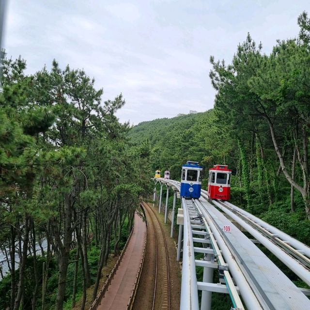 Ride the coast with the Sky Capsule🤩