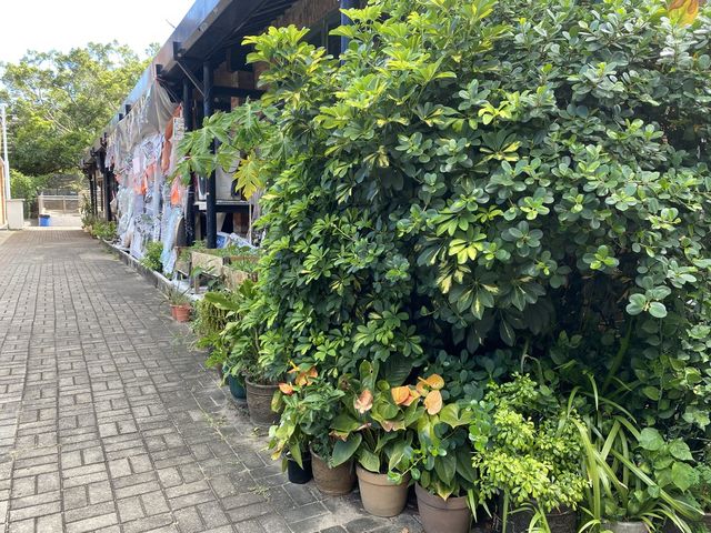 [土瓜灣] 牛棚藝術村及附近Cafe推介