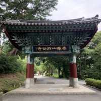 [공주 고즈넉한 사찰, 마곡사]