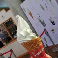 [小豆島]日本のオリーブ発祥の地✨小豆島の「オリーブ公園」