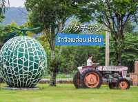 รักจังเมล่อนฟาร์ม ラックチャン