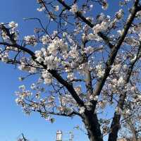 愛知県　清洲城