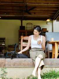 🍃🐶Mori Natural Farm ที่พัก&คาเฟ่บนภูเขาเชียงใหม่