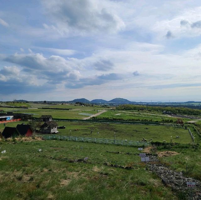 제주 새별 오름 가봤습니다.