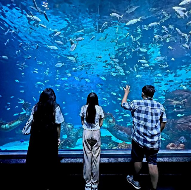 พิพิธภัณฑ์สัตว์น้ำ🐳🐙🐡🐠ที่ใหญ่ที่สุดในไทย