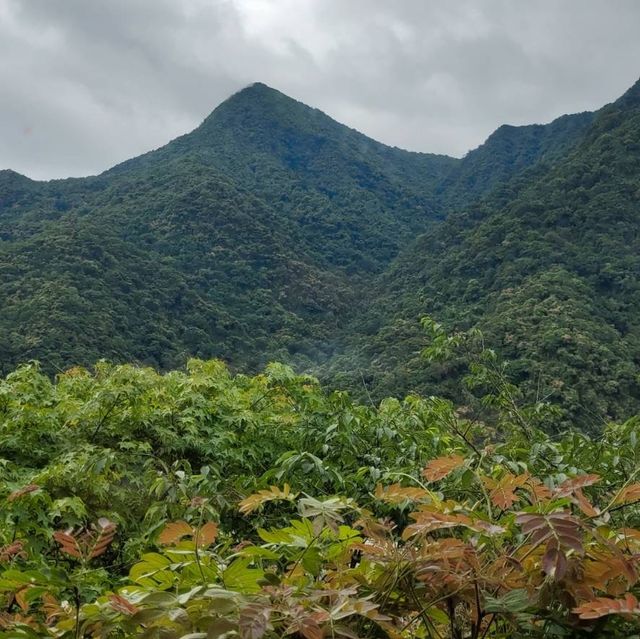 《烏來雲頂溫泉♨️》烏來溫泉之小旅行