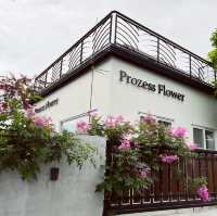 絕美網紅拍照花園空間｜Prozess Flower普羅賽斯｜白色韓系咖啡廳