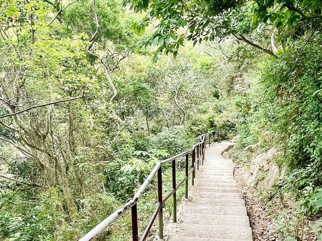 谷埔