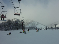 長野縣必去的滑雪場🎿🌟🌟🌟