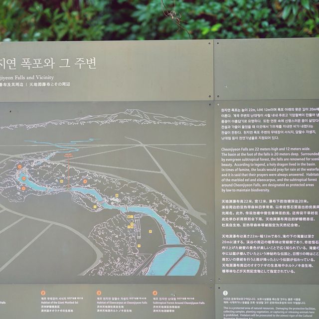 📸 하늘과 땅이 만나는 연못이라 불리는, 천지연폭포