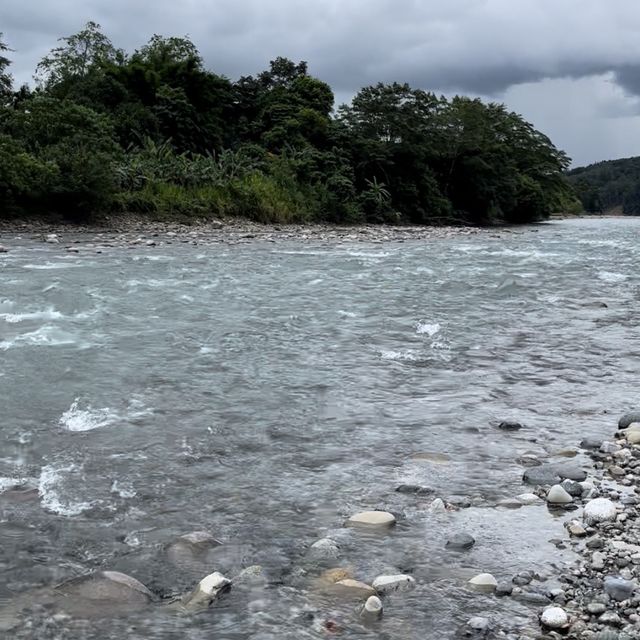 Nature , Everything Is Perfect