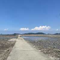 선재사메기 🦪갯벌체험🐚 바지락 캐기! 도오전~