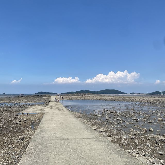 선재사메기 🦪갯벌체험🐚 바지락 캐기! 도오전~