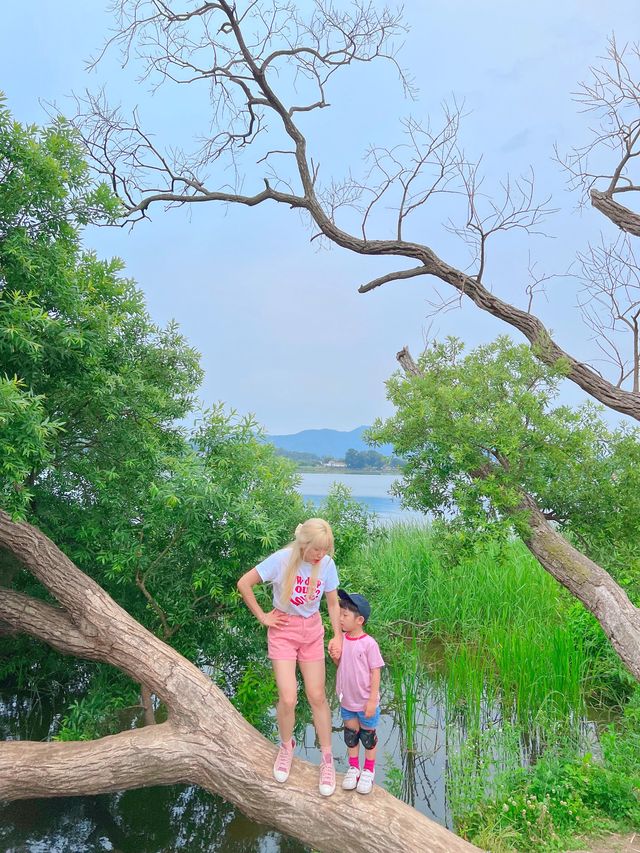 남양주 가볼만한 곳 물의정원