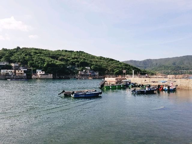 布袋澳
嘆海鮮😋 嘆美景🥰 布袋澳
嘆海鮮😋 嘆美景🥰