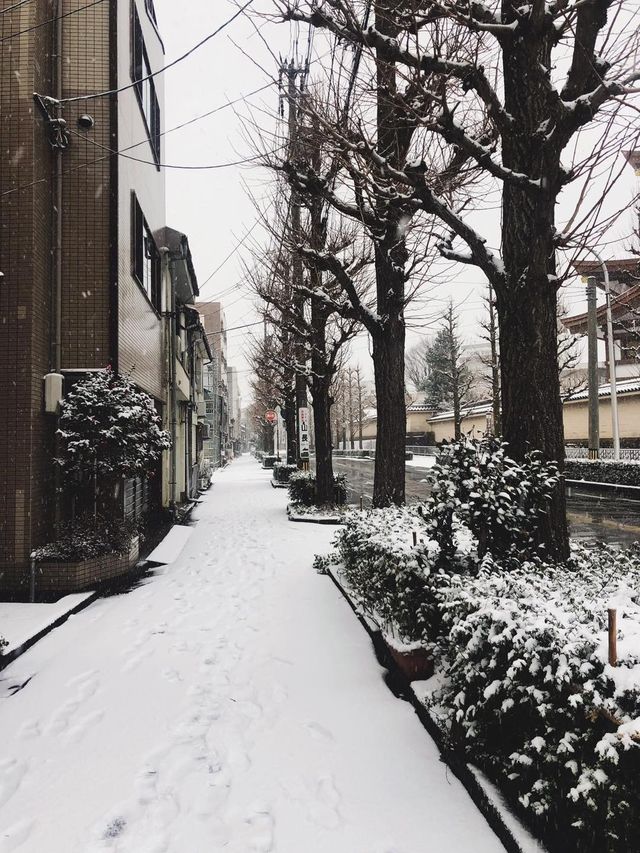 JAPAN | ญี่ปุ่น . 🎌🏯🍣