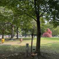 【福岡】街中にある公園