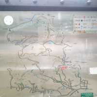 滿滿芬多精【台北內湖】鯉魚山一日遊