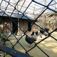 Jeonju Zoo