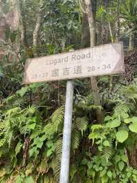 輕鬆行山路線：薄扶林水塘至太平山山頂　～