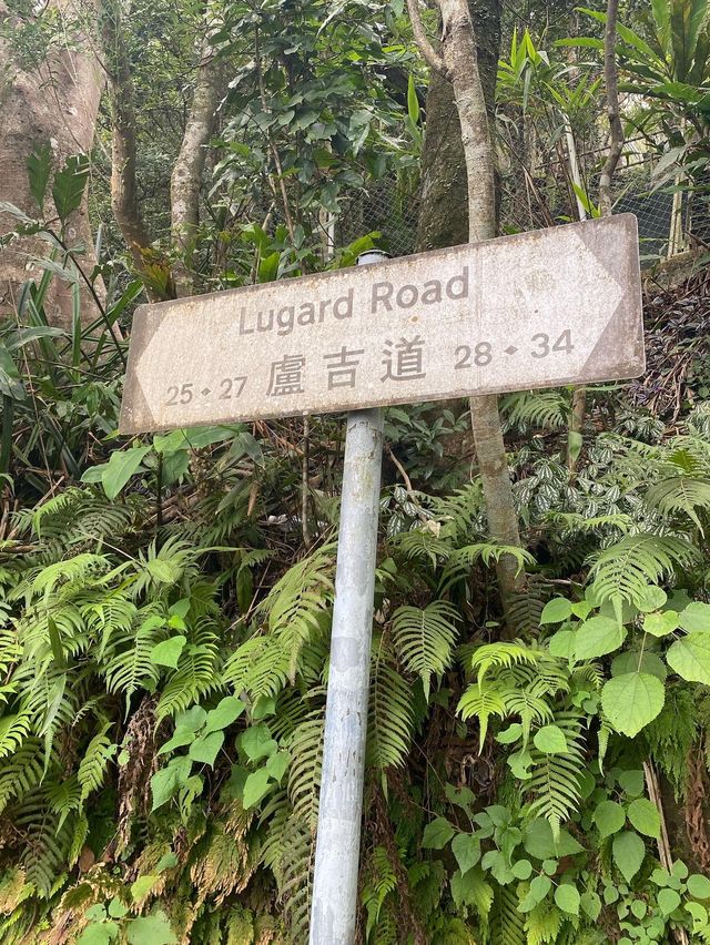 輕鬆行山路線：薄扶林水塘至太平山山頂　～