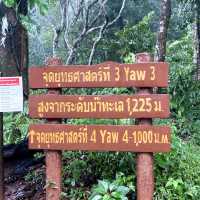 อุทยานแห่งชาติ ดอยขุนตาล ในหน้าฝน