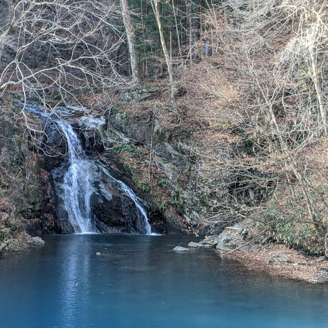 Late Autumn in Shibukawa 