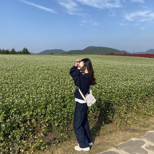 동화 속 같은 “보롬왓”