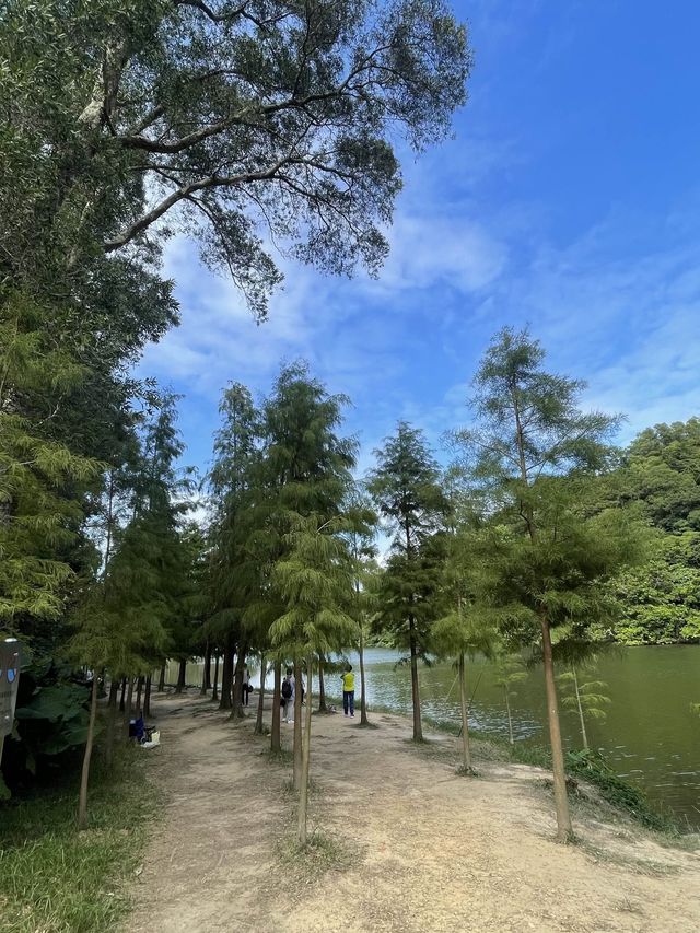 流水響水塘-行山新手也能輕鬆完成的路線
