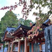 【京都】四季折々の花が楽しめる天満宮