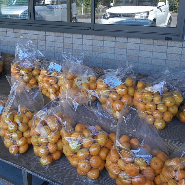 安い！うまい！いつでも買える！みかん専門店