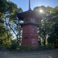 【東京都】秋の妖怪・天狗門🍁　哲学堂公園